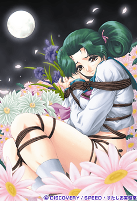 月花美人 2 